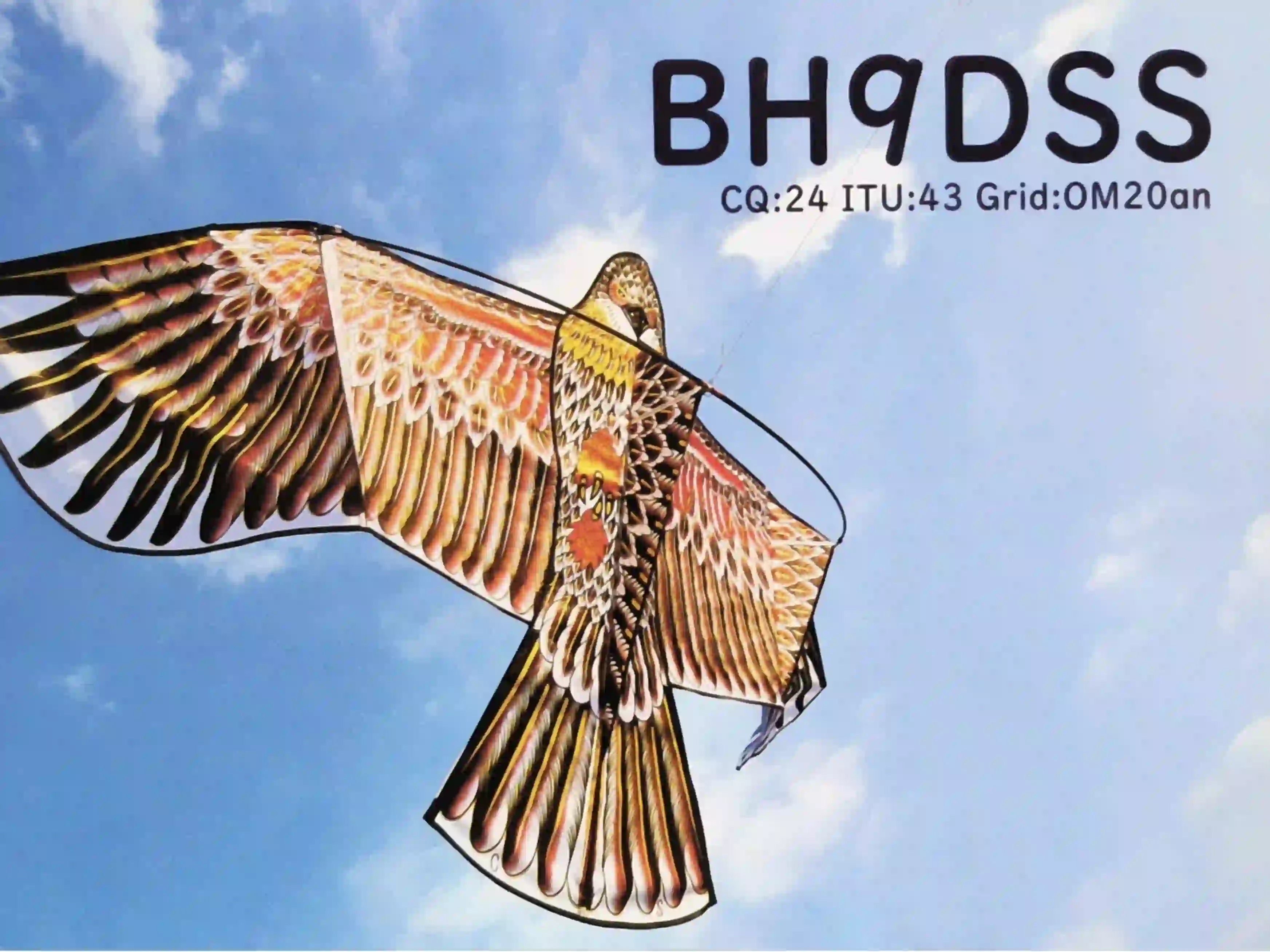 BH9DSS 的 QSL 卡